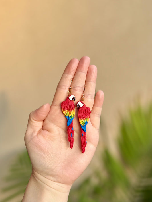 Scarlet Macaw